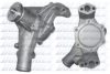 DOLZ C601 Water Pump